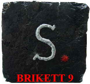 S Brikett (3)